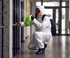 Reliable East Palatka, FL Mold Remediation Solutions